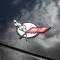 American Car Craft 1997-2004 C5/Z06 Corvette - Emblem Inserts Front and Rear 8Pc, Polished Stainless 032036