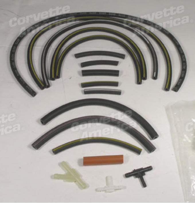 Corvette Emission Hose Kit, L48 with NA6, 1978