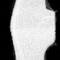 Corvette Splash Shield, Left, 1970-1973