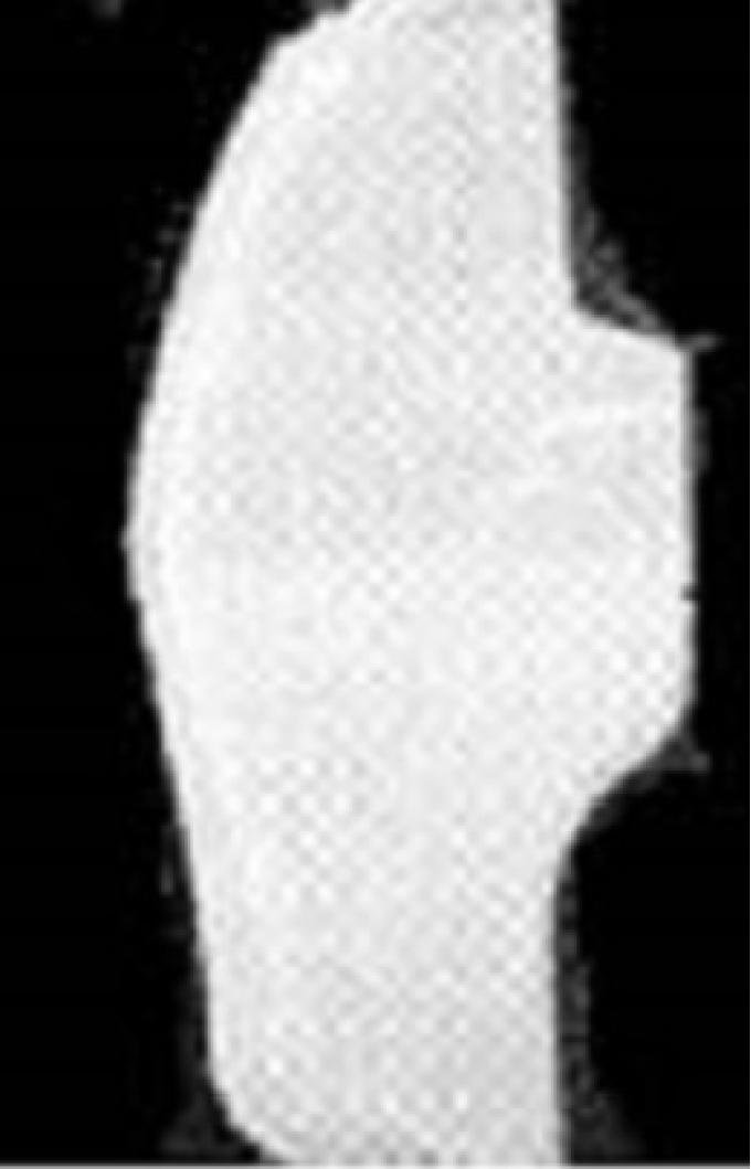 Corvette Splash Shield, Left, ACI, 1968-1969