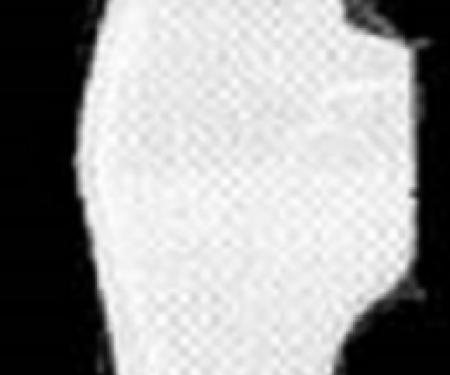 Corvette Splash Shield, Left, ACI, 1968-1969