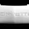 Corvette License Filler, Front Bumper,  1991-1996