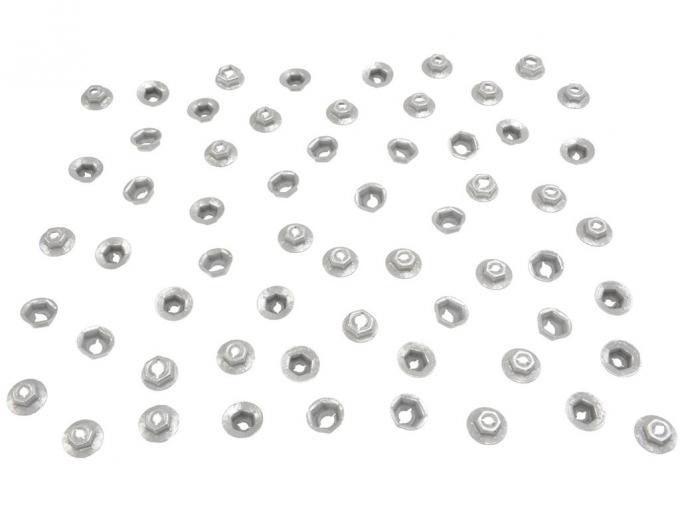 58 Exterior Trim And Emblem Speednut Kit (60 Pieces)