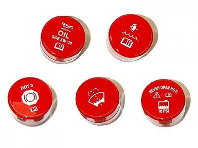 2014-2019 Engine Cap Cover Manual Base Except Dry Sump Oil System