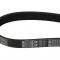 84 Serpentine Engine Drive Belt