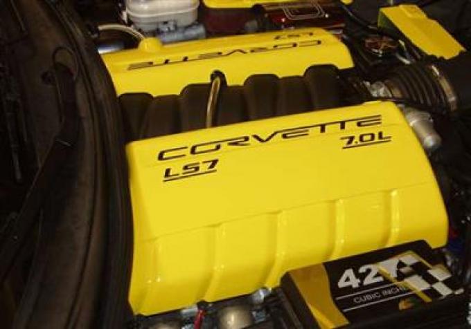 06-13 LS7 / Z06 Painted Fuel Rail Cover w/Black / Chrome Or Gold Trim