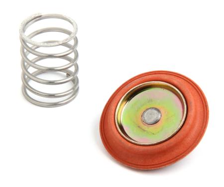 Holley Regulator Rebuild Kit 12-822